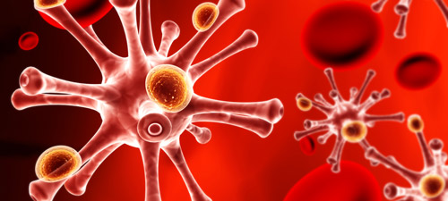 Liệu pháp miễn dịch tế bào NK tự thân