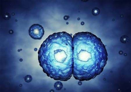 Liệu pháp Tế bào miễn dịch