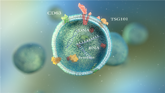 Trị liệu MSC - Exosomes